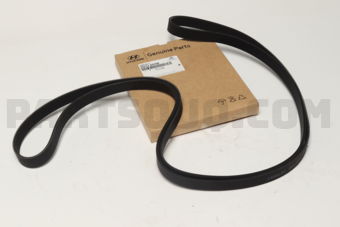 252122G700 V-RIBBED BELT