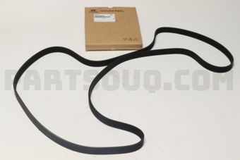 252122G700 V-RIBBED BELT