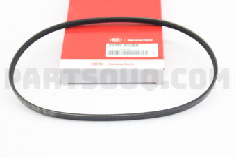 252122GGB0 BELT V