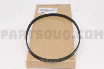 252122S050 BELT-WATER PUMP