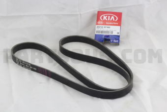 2521237162 V-RIBBED BELT