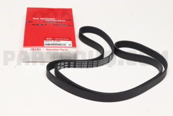 252123C300 V-RIBBED BELT