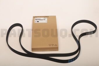 252123C322 RIBBED BELT-V