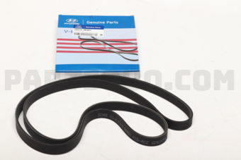 252123E001 V-RIBBED BELT
