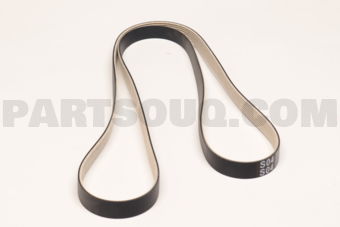 252124A600 RIBBED BELT-V