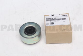252863L100 PULLEY-IDLER