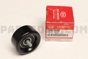252864A030 PULLEY-IDLER