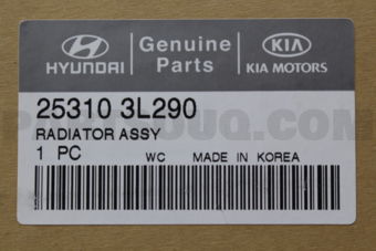 253103L290 RADIATOR ASSY