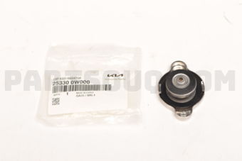 253300W000 CAP ASSY-R