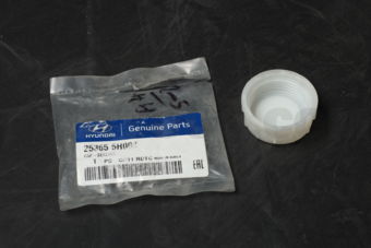 253655H000 CAP-SEALING