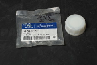 253655H000 CAP-SEALING