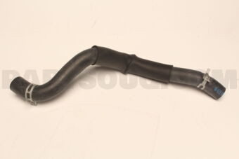 254122P600 HOSE-RADIATOR LWR