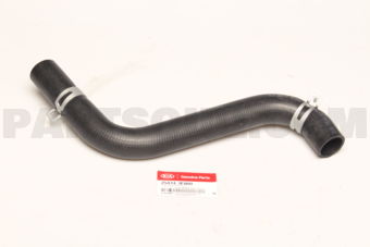254143F800 HOSE-RADIATOR UPPER