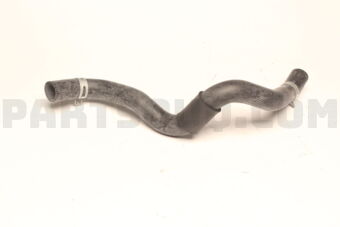 254151D100 HOSE-RADIATOR LWR