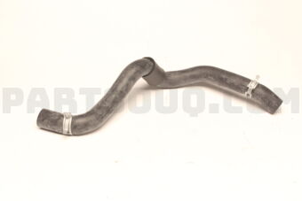254151D100 HOSE-RADIATOR LWR