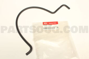 254431Y000 HOSE-RADIATOR RESERV
