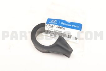 254812B800 CLIP-HOSE