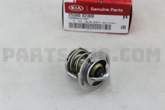 2550002800 THERMOSTAT ASSY