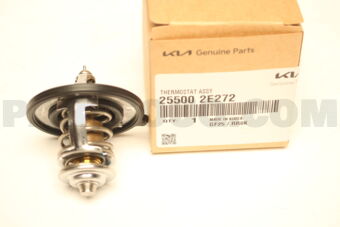 255002E272 THERMOSTAT ASSY