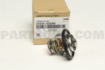 255002GGA0 THERMOSTAT ASSY
