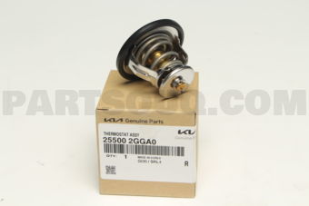 255002GGA0 THERMOSTAT ASSY