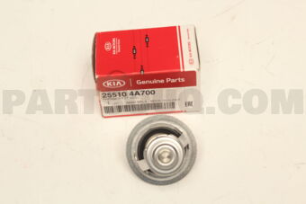 255104A700 THERMOSTAT ASSY