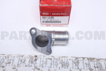256113L300 FITTING-WATER OUTLET