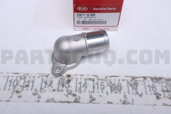256113L300 FITTING-WATER OUTLET