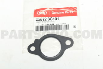 256123C101 GASKET-W/OUTLET FITTING