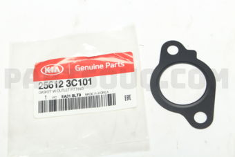 256123C101 GASKET-W/OUTLET FITTING