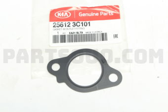 256123C101 GASKET-W/OUTLET FITTING