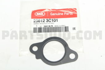 256123C101 GASKET-W/OUTLET FITTING
