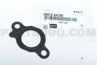 256124A700 GASKET