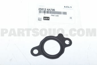 256124A700 GASKET