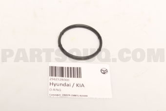 256232B000 O-RING