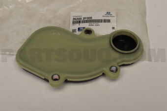 262002F000 STRAINER
