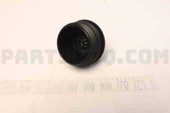 263153N100 CAP COMPLETE-OIL FILTER