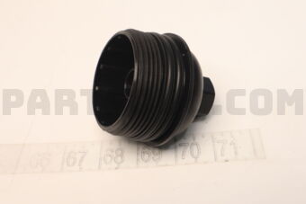 263153N100 CAP COMPLETE-OIL FILTER