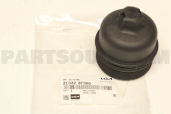263323F300 CAP