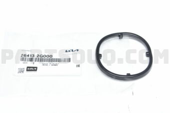 264132G000 O-RING