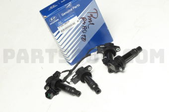 273002B010 COIL & EXT. WIRE
