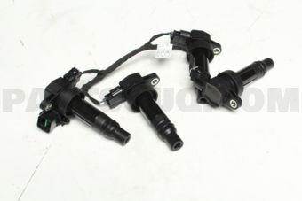 273002B010 COIL & EXT. WIRE