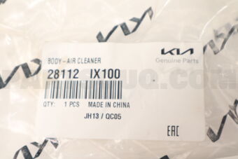 28112IX100 BODY-AIR CLEANER