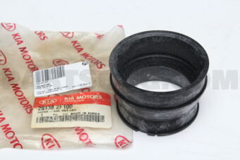 281382F100 HOSE-AIR INTAKE
