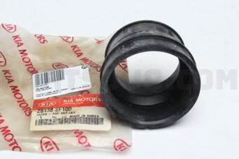 281382F100 HOSE-AIR INTAKE
