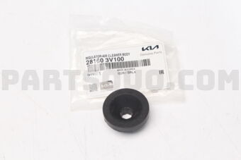 281603V100 INSULATOR