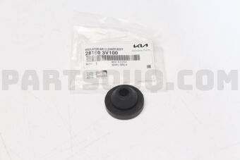281603V100 INSULATOR