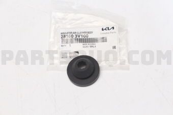 281603V100 INSULATOR