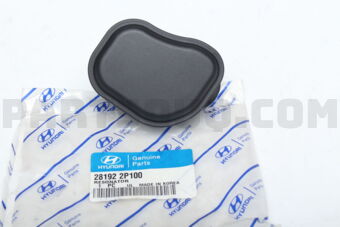 281922P100 RESONATOR