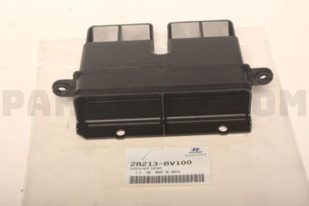 28213BV100 SHIELD-AIR INTAKE
